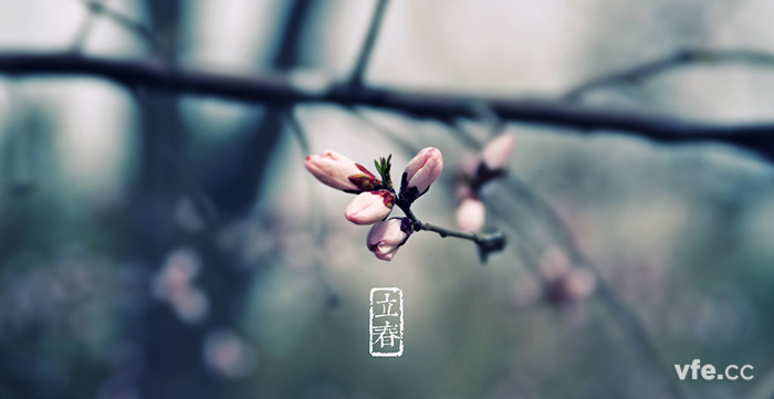 立春 立春