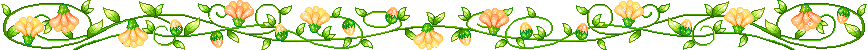 母亲节 母亲节