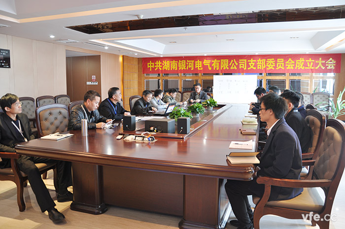 东升国际官网党支部正式成立