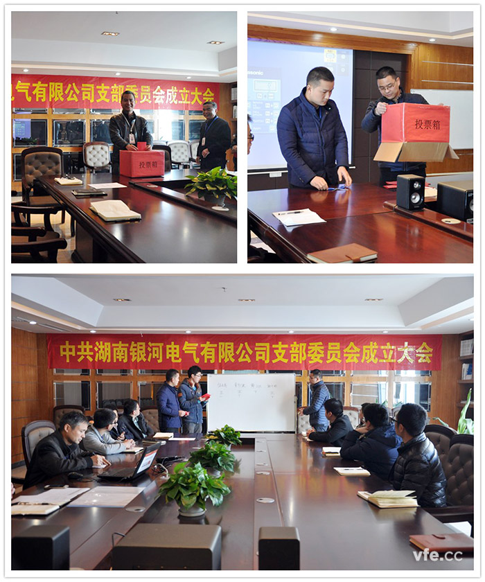 湖南东升国际官网电气第一届党支部选举大会