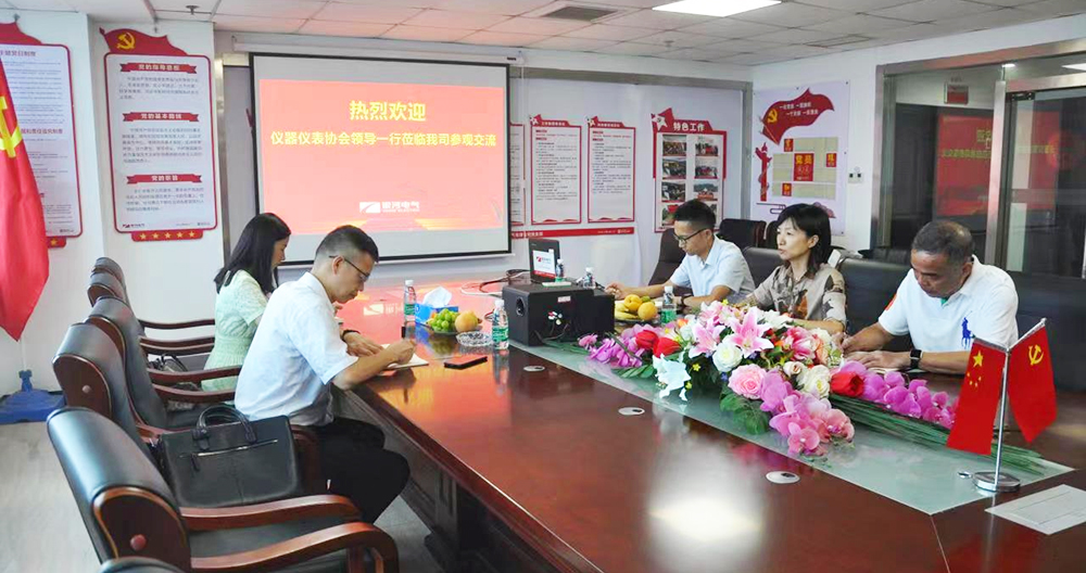 湖南省仪器仪表行业协会秘书长徐振轩一行莅临东升国际官网电气调研