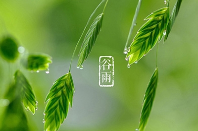 古钻，，，，，，播种但愿