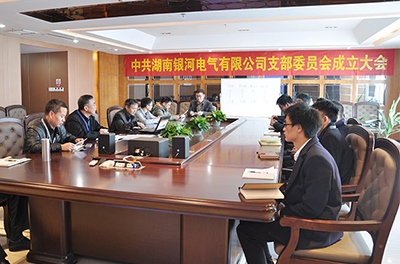 东升国际官网党支部正式成立
