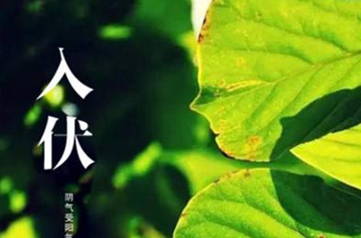 入伏在即，，，，，，，，炎暑将至