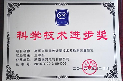 东升国际官网电气再获科学技术进取奖，，，，，，，，为电机能效提升提供有力保险
