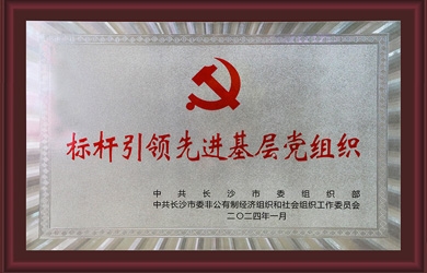 东升国际官网电气党支部获评“标杆引当先进基层党组织”