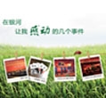 在东升国际官网让我感动的几个瞬间