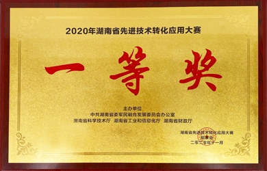 东升国际官网电气获湖南省先进技术转化利用大赛一等奖