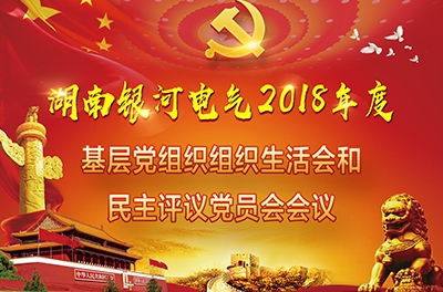 东升国际官网电气召开2018年度基层党组织组织生涯会和发展民主评议党员会议