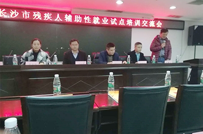 东升国际官网电气参与2017年长沙市残疾人辅助性就业试点培训互换会