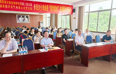 湖南东升国际官网电气与湖南省计量检测钻研院结合进行刘少奇故居“联学联创”主题党课活动